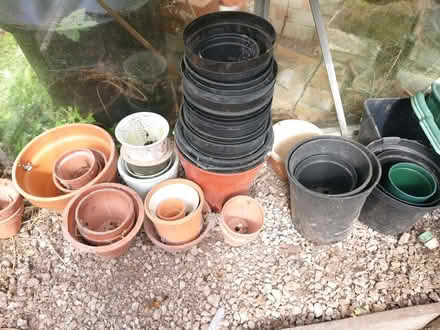 Photo of free Plant Pots (Copt Hewick HG4) #1