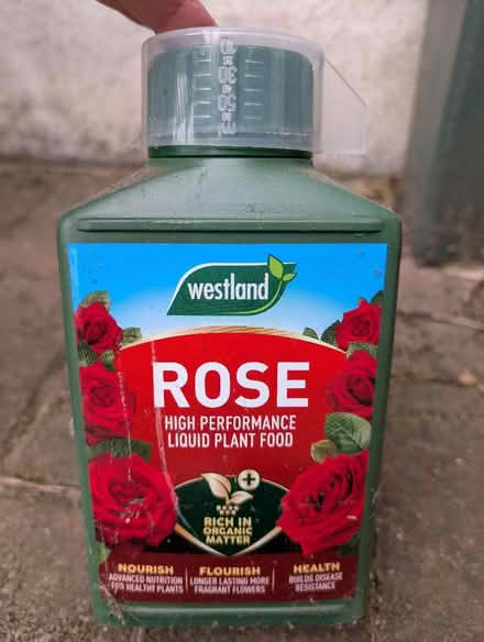 Photo of free Rose feed and Rose Clear (Fulham Palace Rd SW6) #1