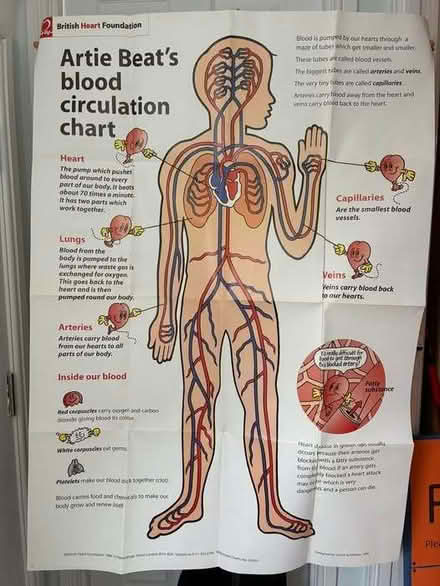Photo of free Educational posters (Anstey LE7) #1