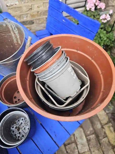 Photo of free Joblot plant pots (SW8) #3