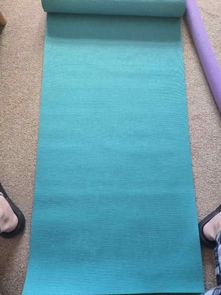 Photo of free Exercise mat (Shifnal TF11) #1