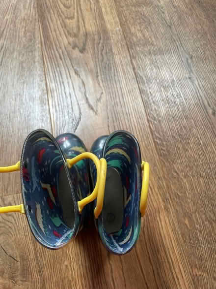 Photo of free Kids dinosaur welly boots (SM4) #2