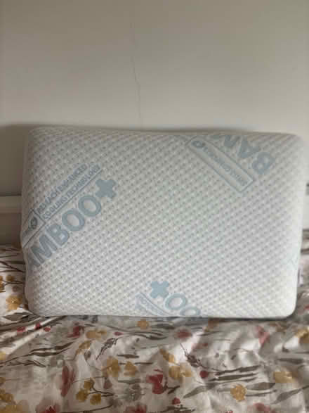 Photo of free Sofa cushions, pillow, blanket (Brentford, TW8) #3