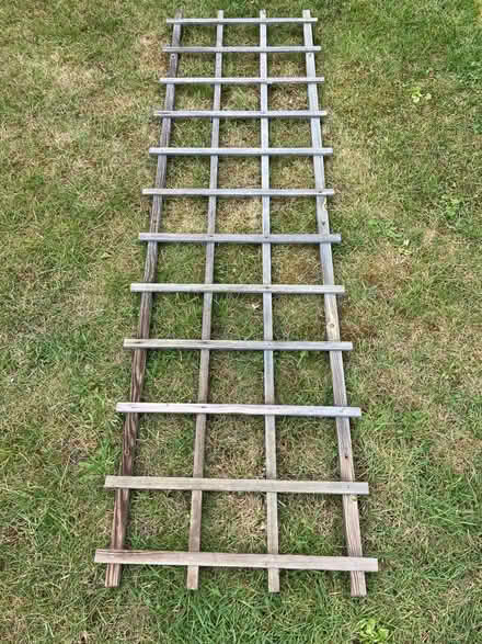 Photo of free Trellis (North wootton) #1