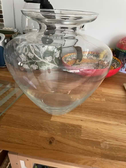 Photo of free Rose Hip Bush (Hollington TN37) #3