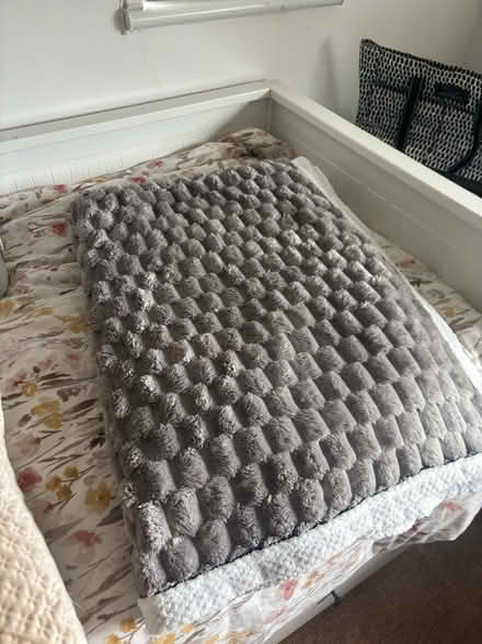 Photo of free Sofa cushions, pillow, blanket (Brentford, TW8) #4