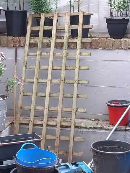 Photo of free Heavy duty trellis (Burnham on sea Central TA8) #1