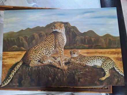 Photo of free Oil painting of cheetahs on canvas (Allington NG32) #1