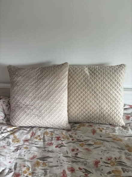 Photo of free Sofa cushions, pillow, blanket (Brentford, TW8) #2