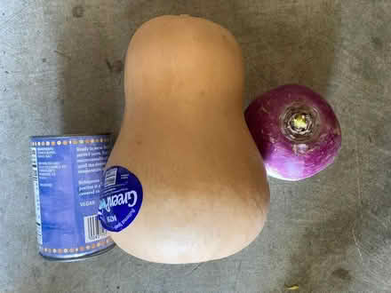 Photo of free Butternut squash & radishes (Cambrian area, San Jose) #1