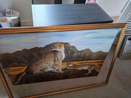 Photo of free Oil painting of cheetahs on canvas (Allington NG32) #2