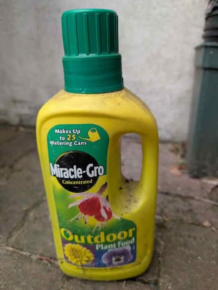 Photo of free Plant food (Fulham Palace Rd SW6) #3