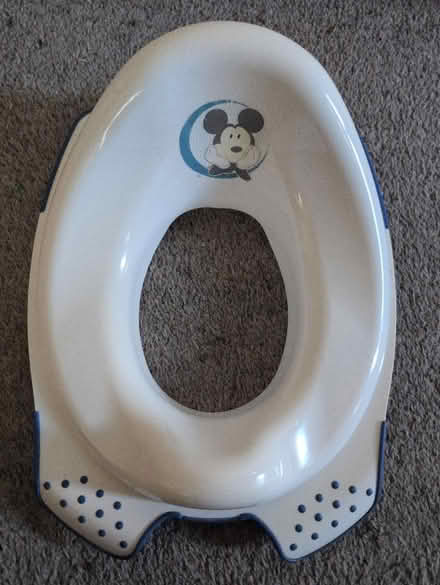 Photo of free Toddler toilet seat (Ecclesall, S11) #1