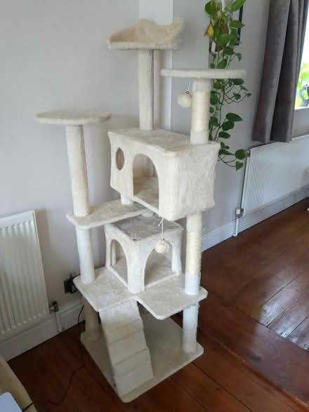 Photo of free Cat home / tree (Binfield Heath RG9) #1