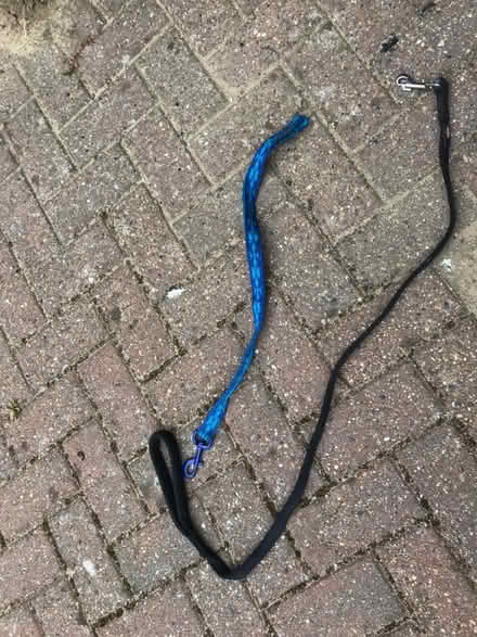 Photo of free Dog leads (Goffs Oak EN7) #1