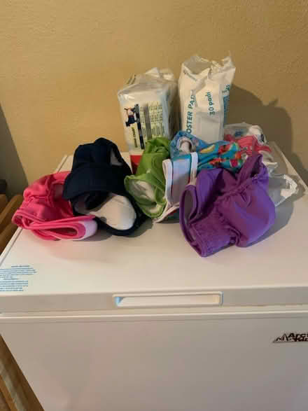 Photo of free Female Dog diapers (Kecoughtan & LaSalle) #1