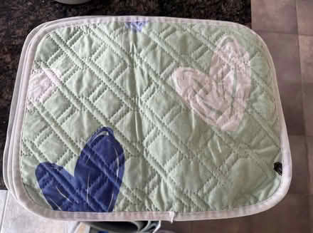 Photo of free Puppy Training Pads x4 (Oakenshaw South B987) #1