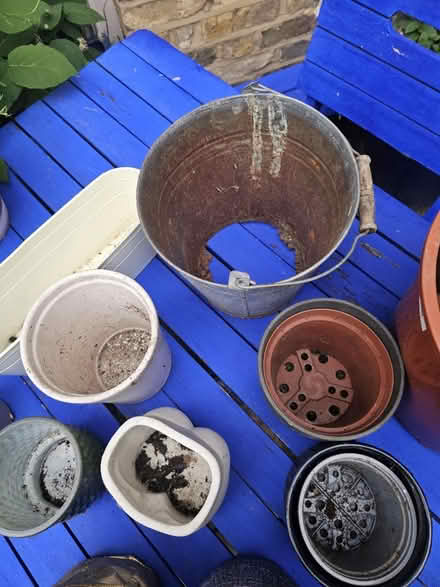 Photo of free Joblot plant pots (SW8) #4