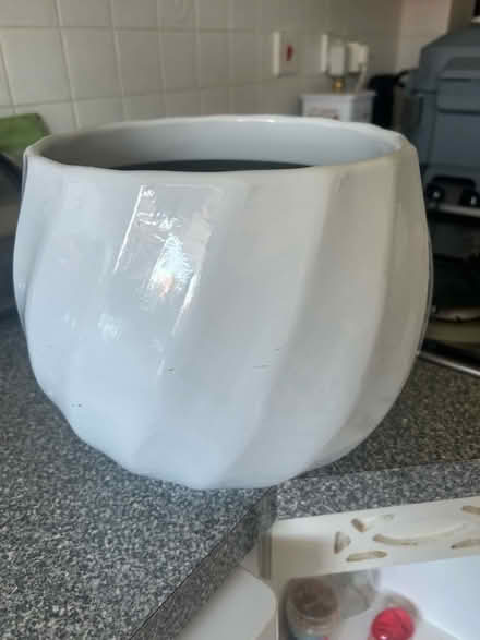 Photo of free Indoor Plant Holder (Westbrook WA5) #1