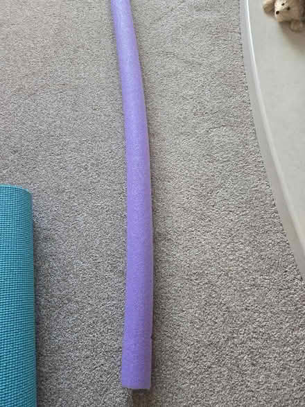 Photo of free Noodle (Shifnal TF11) #1
