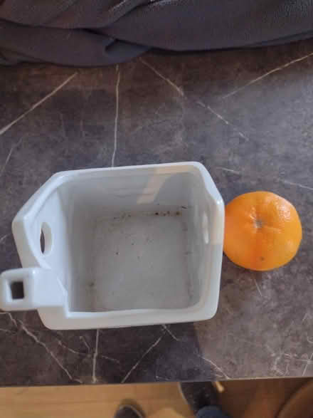 Photo of free Bulb planter (New Milton BH25) #2
