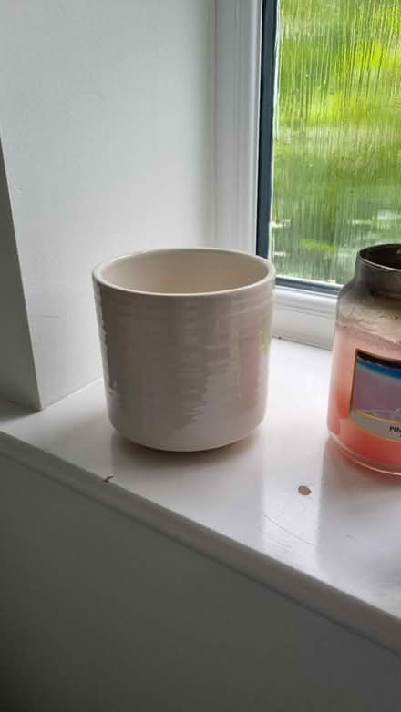 Photo of free Plant pot (Locksheath SO31) #1