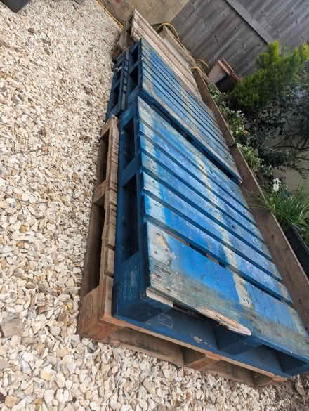 Photo of free Four pallets (Oldfield Park) #1