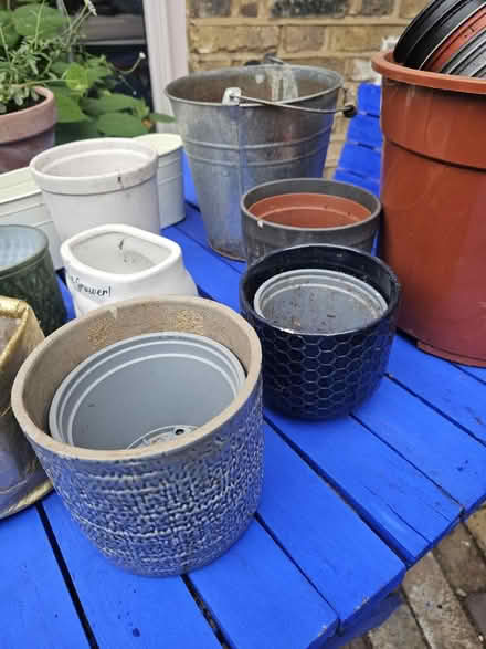 Photo of free Joblot plant pots (SW8) #1