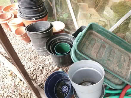 Photo of free Plant Pots (Copt Hewick HG4) #2