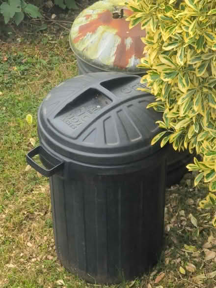 Photo of free 80L bins (Eden Park. BR3) #1