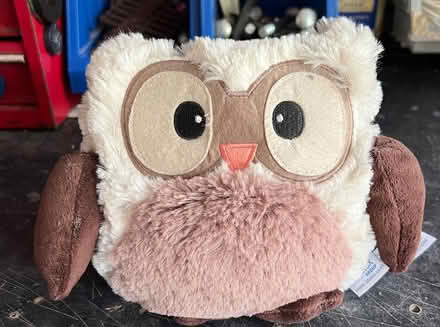 Photo of free Owl heat pack (Twerton) #1