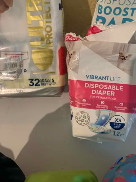 Photo of free Female Dog diapers (Kecoughtan & LaSalle) #3