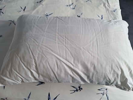 Photo of free JL Clusterfibre pillow - Firm (Lower Earley RG6) #2