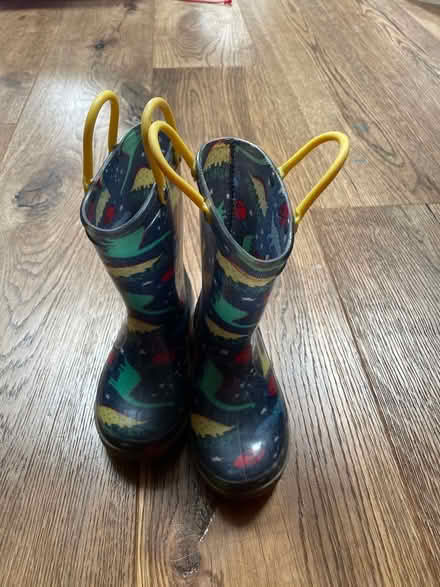Photo of free Kids dinosaur welly boots (SM4) #3