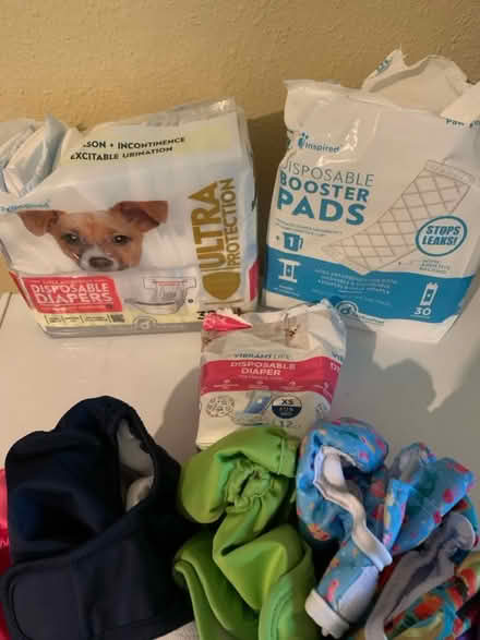 Photo of free Female Dog diapers (Kecoughtan & LaSalle) #2
