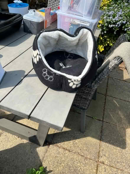 Photo of free Cat bed (Goodmayes IG3) #1