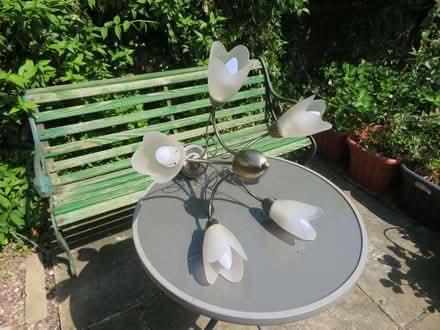 Photo of free Ceiling light (Toftwood NR19) #1