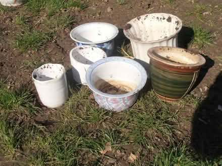 Photo of free Collection of ceramic flower pot. (Newnham RG27) #4