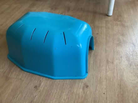 Photo of free Guinea pig house (Shortlands, Bromley, BR2) #1