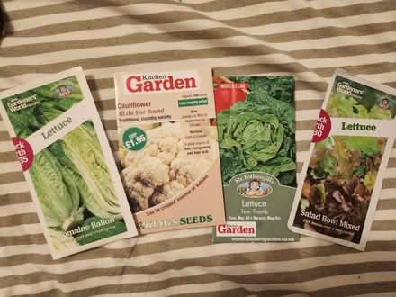 Photo of free Seeds (Crowmarsh (OX10)) #1