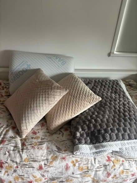 Photo of free Sofa cushions, pillow, blanket (Brentford, TW8) #1