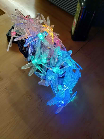 Photo of free Multicoloured solar dragonfly lights (Upper Wolvercote OX2) #1