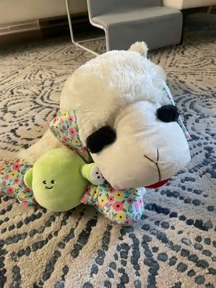 Photo of free big lamp chop toy for dogs (san jose west) #1