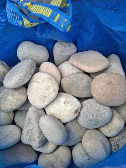 Photo of Large pebbles (Dagenham RM8) #1