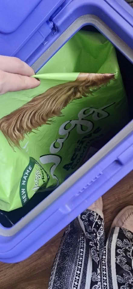 Photo of free Dog food container (Hanworth RG12) #2