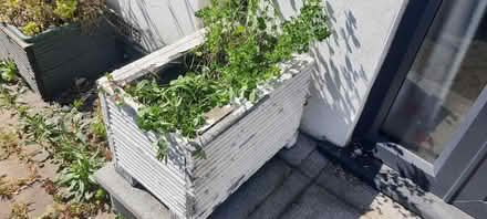 Photo of free Handmade wooden boxes for plants (Harrow HA3) #2