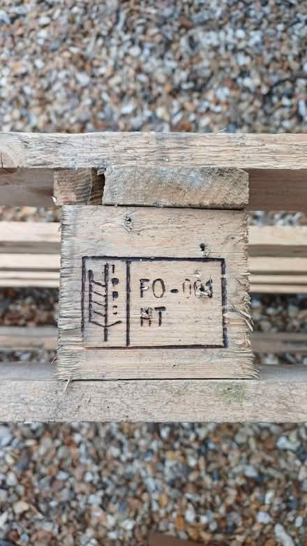Photo of free Pallet (WV3 Wolverhampton) #1