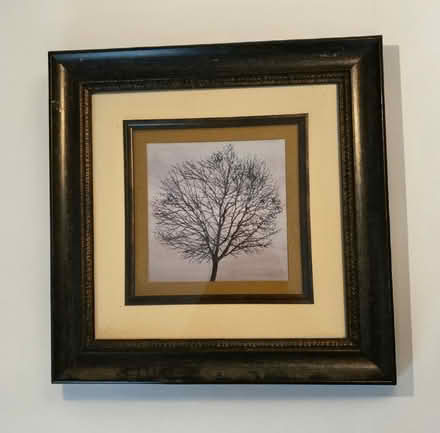 Photo of free Tree Art (Upper Monroe Avenue) #1