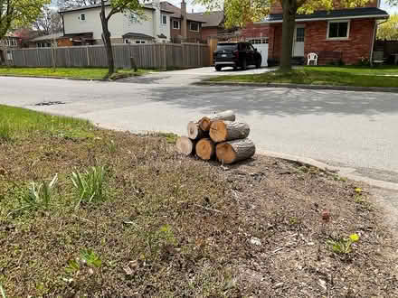 Photo of free Fire wood (Williams Parkway and 10) #1