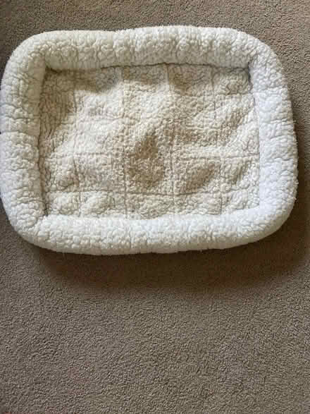 Photo of free Dog bed (north Downers Grove) #1